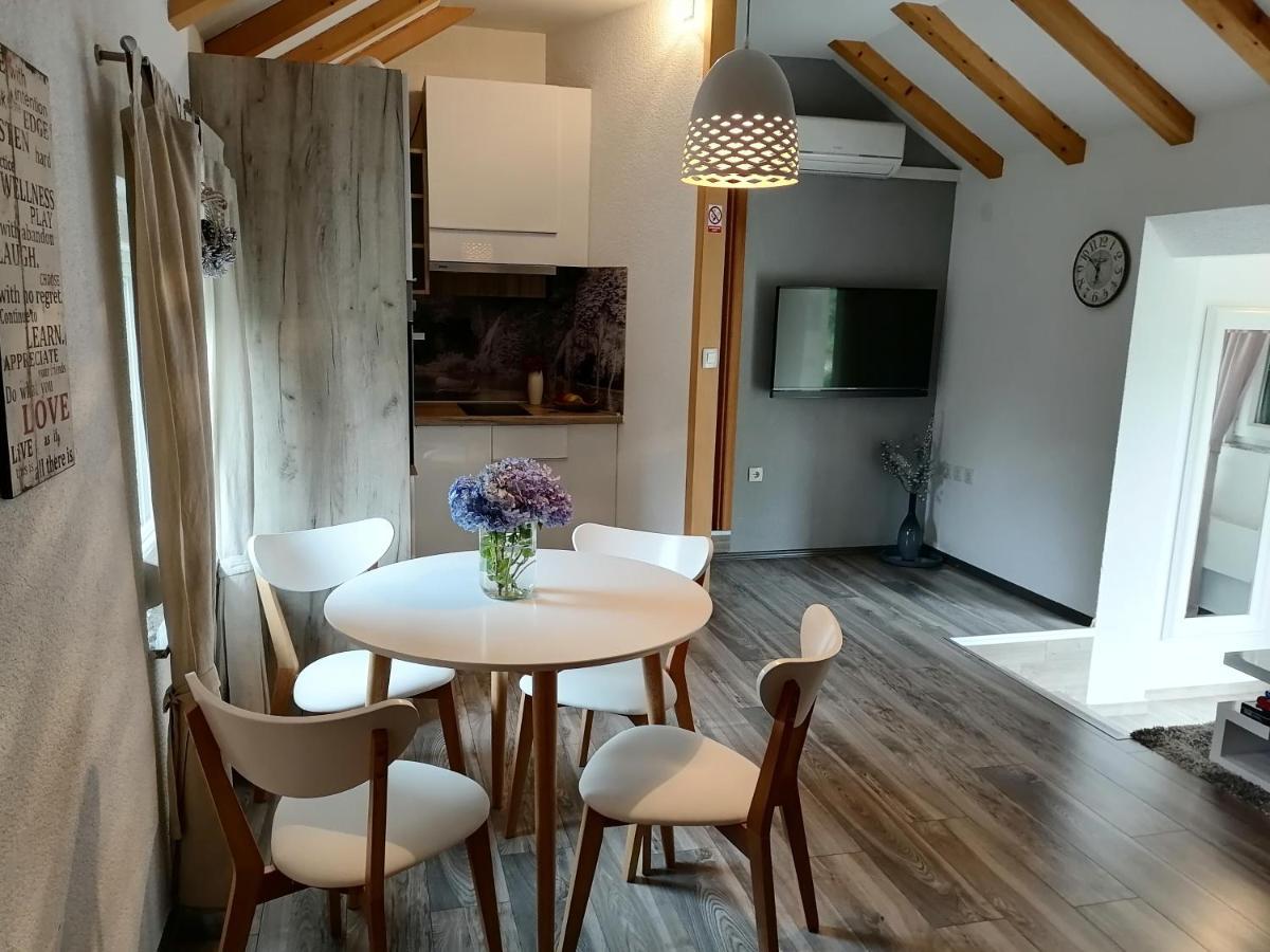 Apartment King Selište Drežničko Extérieur photo