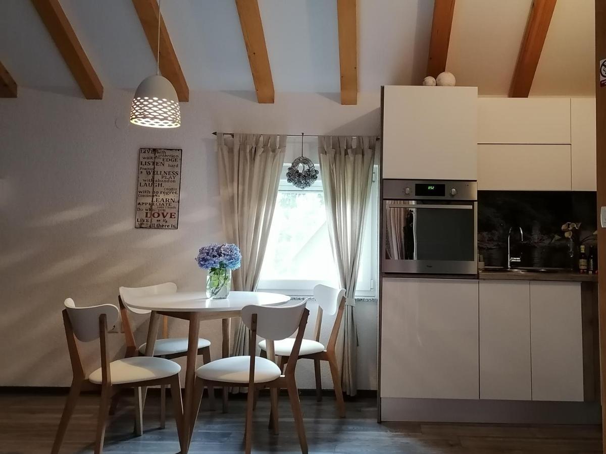 Apartment King Selište Drežničko Extérieur photo